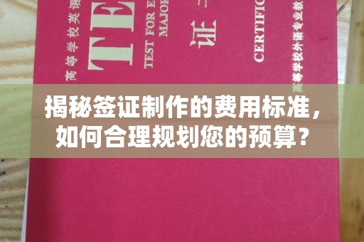 宁江揭秘签证制作的费用标准，如何合理规划您的预算？